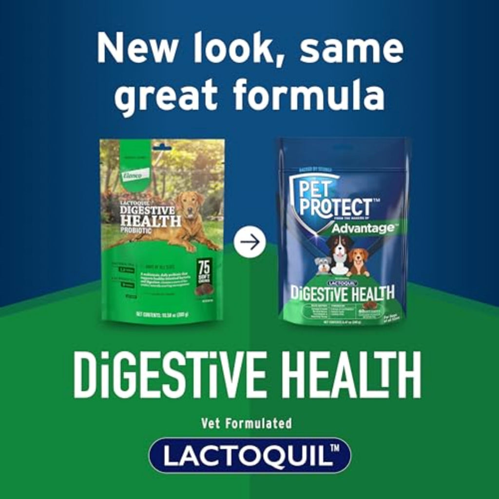 Elanco Lactoquil Soft Chews Digestive Health Probiotic Supplement for Dogs, 75 Count