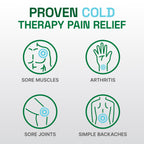Biofreeze Professional Spray Pain Relief for Knee, Neck, Hip, Joint, Shoulder, & Simple Backache, Arthritis Pain Reliever, Sore Muscle Relief, Colorless Menthol Spray 4 Fl Oz (Pack of 2)