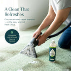 Puracy Carpet Cleaner Solution - Carpet Shampoo, Pet Stain & Odor Remover, Rug & Upholstery Cleaner, 4X Concentrated, Low Foam Shampooer Formula, Fresh Citrus, 25oz
