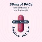 Utiva Cranberry PACs – Clinically Studied Ingredients 36mg PACs for UTI Avoidance - Supplement for Urinary Tract Health for Women and Men – Cranberry Extract Pills for Bladder Health, 90 Vegi Capsules