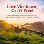 Vitalitown Magnesium Complex Supplement 500mg - NSF Certified Magnesium Glycinate, Malate, Taurate & Citrate - Chelated High Absorption & Gentle on Stomach - Vegan Non-GMO 2 Packs 240 Capsules