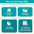 ORGANIC INDIA Gotu Kola Herbal Supplement - Adaptogen for Brain & Nervous System Support, Vegan, Gluten-Free, Kosher, USDA Certified Organic, Non-GMO, Calming, Mental Clarity - 90 Capsules