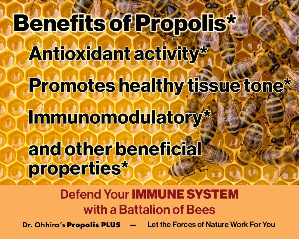 Dr Ohhira's Propolis Plus Bee Propolis Capsules | Gold Standard | 30 Count