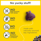Zarbee’s Kids Elderberry Immune Support Supplement Gummies, Vitamins A C D3 E & Zinc, Elderberry Extract, Gluten & Gelatin Free, No Artificial Flavors, Natural Berry Flavor, Ages 2+, 42 Ct