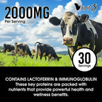 VITINITY Grass Fed Bovine Colostrum Capsules for Humans - Natural IgG Colostrum Supplement for Gut Health, Immune Support, Muscle Recovery & Wellness | Pure Colostrum Superfood, Unflavored (120 Count)