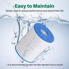 TOREAD NSF-50 Certified Watkins 31114 Replacement Tiger River Spa Filter, Compatible Unicel C-8465, PWK65, Filbur FC-3960, 71827, 71828 Hot Tub Filter, 65 sq. ft Hot Spring Spa Filter 2PACK