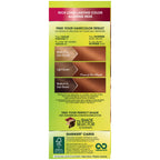 Garnier Nutrisse Nourishing Color Creme, 643 Light Natural Copper by Garnier Hair Color