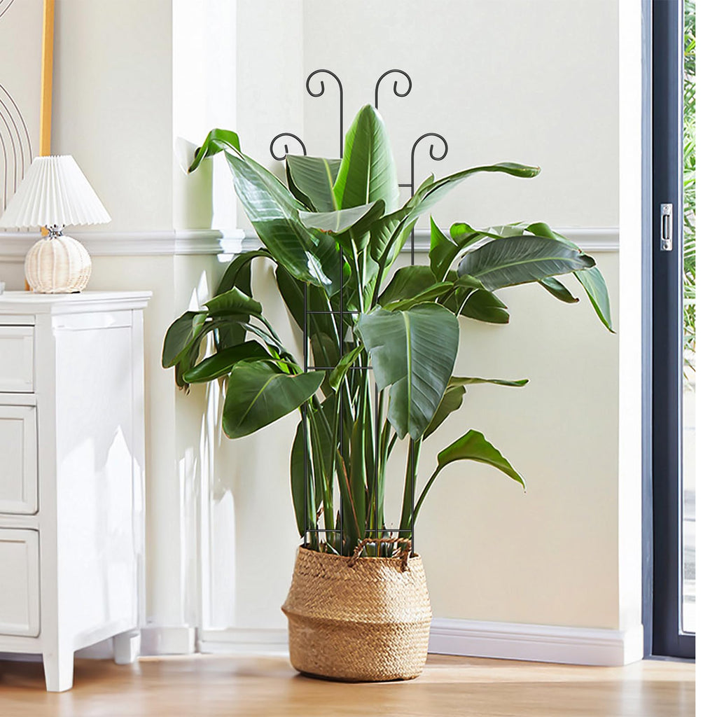 2 Set 32'' Taller Plant Trellis for Climbing Plants Indoors & Outdoor, Garden Metal Trellis Plant Support for Potted Plants, Houseplants, Flowers Vine, Ivy, Pothos, Monstera