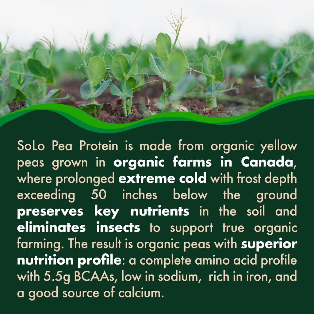 SOLO Organic Pea Protein Isolate, Low in Sodium, Canada Grown Peas, 100% Vegan, Non-GMO, Unflavored Plant Based Protein Powder with BCAA, Keto & Paleo Friendly, Easy to Digest, No Additives (2.7 lbs)
