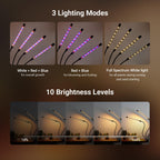NEEWER ENTRY LEVEL VERSION Four Bar Grow Lights for Indoor Plants, Full Spectrum Clip Plant Growing Lamp with 160 Blue, Red, White LEDs, 3/9/12H Timer, Dimmable for Gardening Seed Starting Bonsai, N30