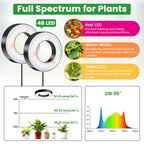 Wiaxulay Grow Lights for Indoor Plants, Full Spectrum Plant Light 12V/3A