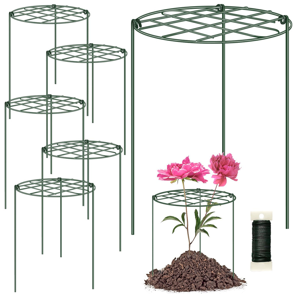 6 Pack 12 x 16 Inch Peony Cages and Supports for Outdoor Plants