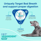 C.E.T. Veggiedent Fr3sh Plaque and Tartar Control Chews for Dogs, Large