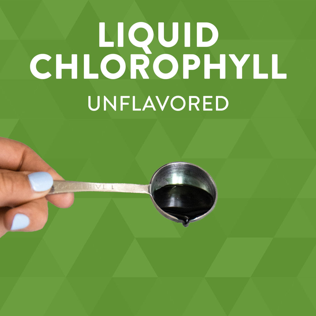 Nature's Way Chlorofresh, Natural Flavor, 16 oz Bottle (Packaging May Vary) (Pack of 2)