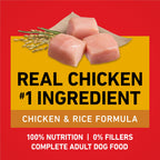 Purina ONE Chicken & Rice Formula Dry Dog Food, 8 lb Bag