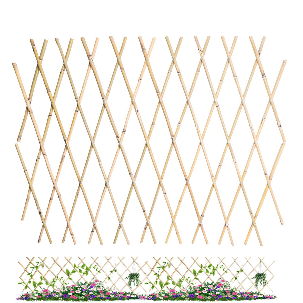 Jollybower 48x72 Inch Expandable Bamboo Trellis, Garden Lattice Fence, Expandable Fence for Climbing Plants, Vines & Ivy,Pet & Dog Barrier（Pack of 1）