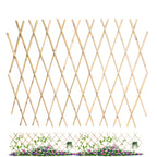 Jollybower 48x72 Inch Expandable Bamboo Trellis, Garden Lattice Fence, Expandable Fence for Climbing Plants, Vines & Ivy,Pet & Dog Barrier（Pack of 1）