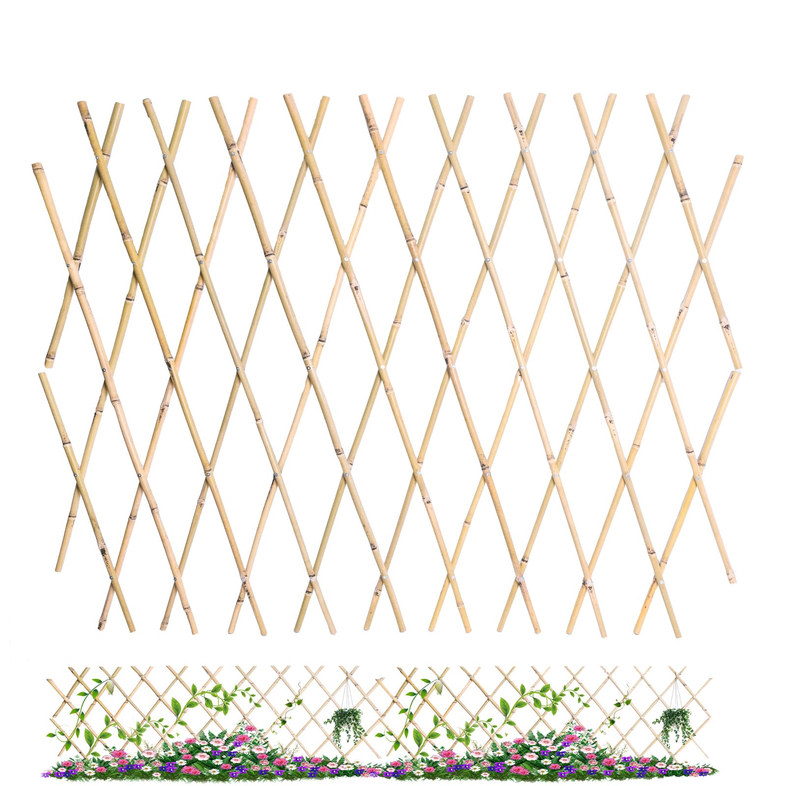 Jollybower 48x72 Inch Expandable Bamboo Trellis, Garden Lattice Fence, Expandable Fence for Climbing Plants, Vines & Ivy,Pet & Dog Barrier（Pack of 1）