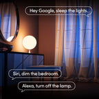 LIFX White A19 WiFi Smart LED Light Bulb, Dimmable, No Hub Required, Works with Alexa and Apple Home Kit, Hey Google, 2700k Warm White, 650 Lumens, 25,000-hour Lifetime, L3A19LW06E26US/12, 12 Pack