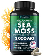 Secret Element Sea Moss Capsules with Burdock Root, Bladderwrack & Muira Puama – Plant-Based Sea Moss Supplement with Raw Powder – 120 Capsules