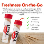 Hotlix Cinnamon Toothpicks (20 Pack 400 total), Flavored Toothpicks, Travel Toothpicks, Toothpicks for Food, Wooden Toothpicks, Fancy Toothpicks for Appetizers, Best Quit Smoking Products, Made in USA