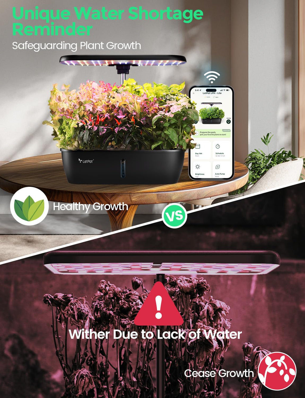 LETPOT LPH-Lite Hydroponics Growing System, 12 Pods Smart Herb Garden Kit Indoor, Indoor Garden, APP & WiFi Controlled, with 24W Growing LED, 5.5L Water Tank, Pump System, Automatic Timer