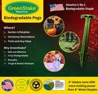 4-Inch Biodegradable Stakes, Pack of 500 - Superior Holding Power Stakes, Sod Staples for Weed Fabric, Eco-Friendly Garden Support Pegs & Fabric Pins, Netting,Turf, Landscaping and Gardening