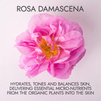 Alteya Organics Rose Water USDA Certified Organic Facial Toner, 8 Fl Oz/240mL Pure Bulgarian Rosa Damascena Flower Water, Award-Winning Moisturizer Amber Glass Spray Bottle