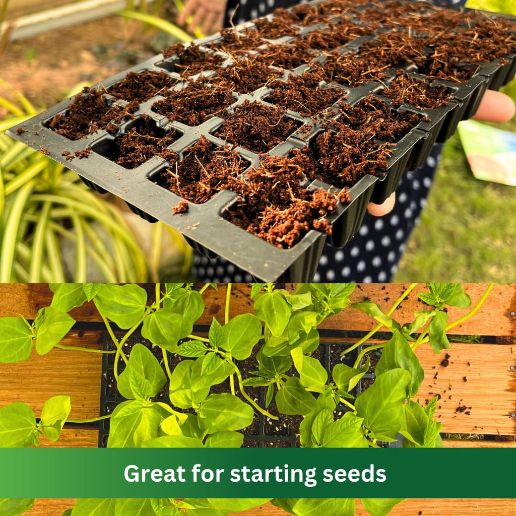 Premium Coco Coir by PlantoCare – Professional Grade Coconut Coir Growing Medium, pH Neutral & Low EC – Ideal for Seed Starters, Potting Mix, Hydroponics & Houseplants [5 Bricks of 650 Grams Each]