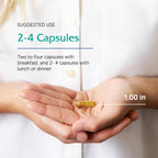 Vitanica Metabolic Manager - Herbal Supplement to Support Healthy Response - Dietary Supplement with Vitamin D - Vegan Antioxidant Supplement - Pro Logo - 120 Capsules