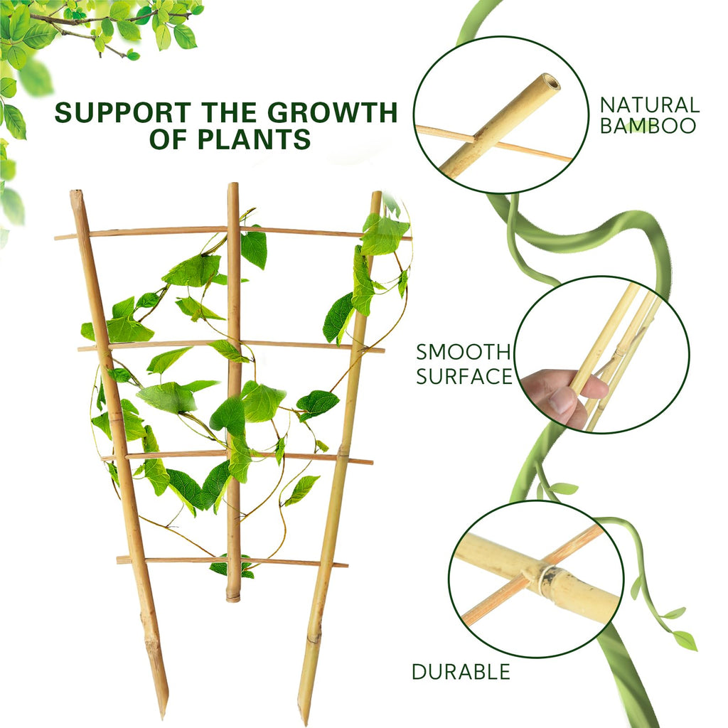 Sprigra Bamboo Trellis 2FT 3 Pack, Plant Ladder Stakes 24 Inches, Natural Fan-Shaped Bamboo Trellis for Orchid Vines, Monarchs, Ivy and Other Plants Climbing, Help Plant Growth