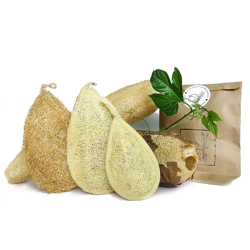 Miw Piw Natural Loofah Dish Sponge (Pack 10) - Vegetable Scrubber for Kitchen - 100% Biodegradable Compostable Dishwashing Scouring Pad, Zero Waste Plastic Free Eco Friendly Sustainable