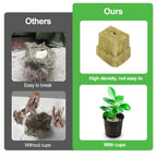 Reeooue 72 Sets Rockwool Cubes and Net Pots, 1.2 * 1.2 * 1.5 inch Rock Wool 72 Plugs & 72-Pack 2inch Net Cups for Hydroponics Growing Systemm, Garden Tower Supplies
