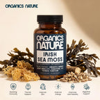 ORGANICS NATURE Irish Sea Moss Capsules 45 Servings | High Potency Seamoss Pills | Dr. Sebi Approved Sea Moss for Energy 90 Vegan Capsules