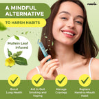 Mullein Pix, Extra Thick Flavored Toothpicks Infused with Mullein Leaf, Natural Quit Smoking Alternative, Lung Cleanse Support, Nicotine Free, Kosher Vegan, Made in The USA (4 Flavors Variety Pack)