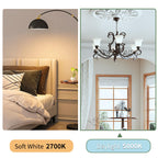 evelor 6-Packs A19 LED Light Bulbs,100 Watt Equivalent Daylight 5000K Bright Bulbs Efficient 13W,1500 Lumens E26 Base, Non-Dimmable, 15000-Hour Lifespan for Bedroom, Living Room, Office