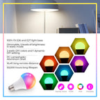 Dimmable E26 Warm LED Light Bulb, 6W RGBW Color 500LM with 16 Color Changing Modes for Christmas, Party etc with Remote Control 2 Pack