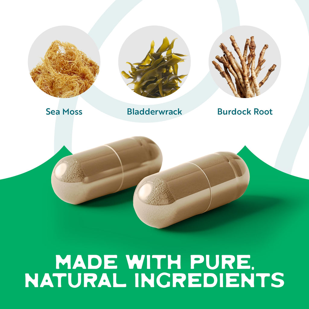 Herbal Vineyards Organic Wildcrafted Vegetable 60 Capsules | 1500MG | Pack of 2 | Irish Sea Moss, Bladderwrack and Burdock Root, Immune Support, Healthy Skin & Energy | Powerful Immunity Booster