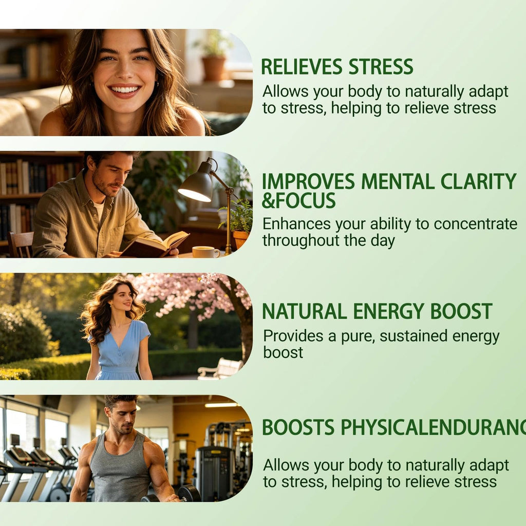 Restine Rhodiola Rosea Capsules 500mg - Non-GMO, Gluten-Free Formula - 60 Capsules