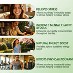 Restine Rhodiola Rosea Capsules 500mg - Non-GMO, Gluten-Free Formula - 60 Capsules