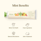 Revitin Toothpaste | Fluoride-Free Prebiotic Mint Tooth Gel | No SLS, Gluten Free, Dye Free, GMO Free, No Sweeteners | Non-Toxic, Kid Approved, Pack of 3