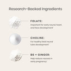 Perelel 1st Trimester Prenatal Pack, Multivitamin with Folate, Vitamin D, Omega 3, Iron & Ginger, Nutritional Support for Early Pregnancy, Soy & Gluten Free, Non GMO, 30 Daily Pill Packs