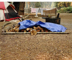 Grizzly Tarps by B-Air 20' x 30' Large Multi-Purpose Waterproof Heavy Duty Poly Tarp with Grommets Every 36", 8x8 Weave, 5 Mil Thick, for Home, Boats, Cars, Camping, Protective Cover, Blue