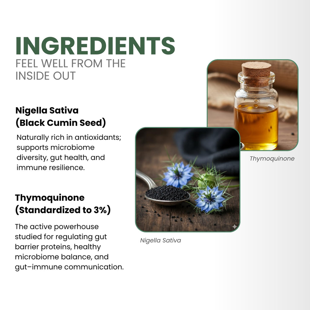 ThymoQuin Gut Health Supplements for Healthy Digestion & Gut Repair | Advanced Formula with Bioavailable Black Seed Oil with 3% Thymoquinone | Gut Health Supplements for Women & Men | 60 Softgel
