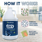 Oxy Pet Carpet Cleaner Spray | Pet Stain Remover for Pet Urine, Cat Pee, Dog Poop | Deep Spot Treating Action on Carpeting, Upholstery, Laundry, Pet Beds & More (128 Fl Oz)