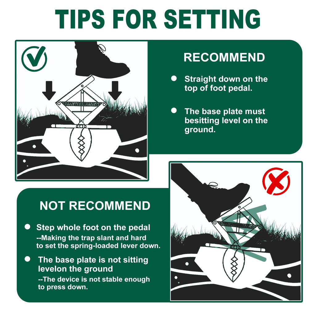 Mole Trap Scissor 2 Pack, Upgraded Mole Traps for Lawns that Kill Best, Galvanized Steel Mole Killer, Step Setup