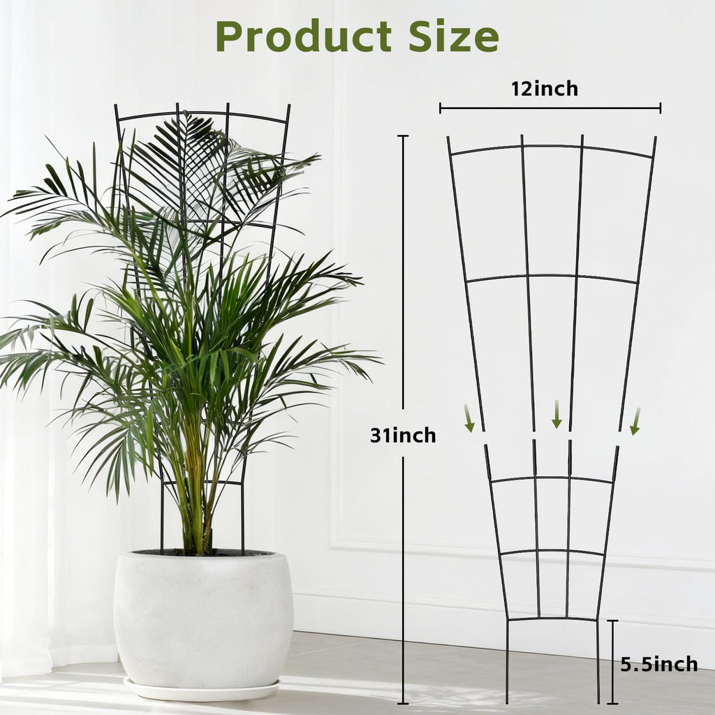 FAFTFTDY Trellis for Climbing Plants Indoor, 4 Pack 31'' Metal Plant Trellis Indoor for Potted Plants, Sturdy Plant Support Outdoor for Ivy Pothos Monstera Hoya Flower Vine, Fan Shape