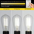 Gozelux LED Edison Bulbs 6W, Equivalent 60W, High Brightness Daylight White 5000K, 750 Lumens, ST58 Vintage LED Filament Bulbs with 90+ CRI, E26 Base, Dimmable, Clear Glass, Pack of 8