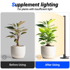Barrina T10 Standing Grow Light for Indoor Plants, 20W 2FT, Full Spectrum