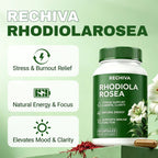 Restine Rhodiola Rosea Capsules 500mg - Non-GMO, Gluten-Free Formula - 60 Capsules